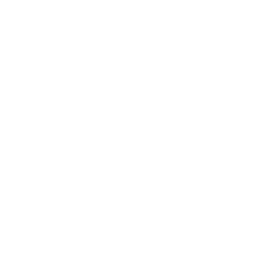 shield icon