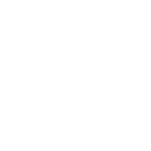 lock icon